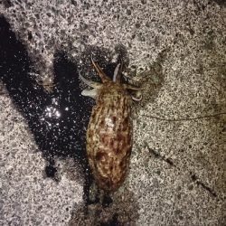 久しぶりにメンバー揃って(^^)