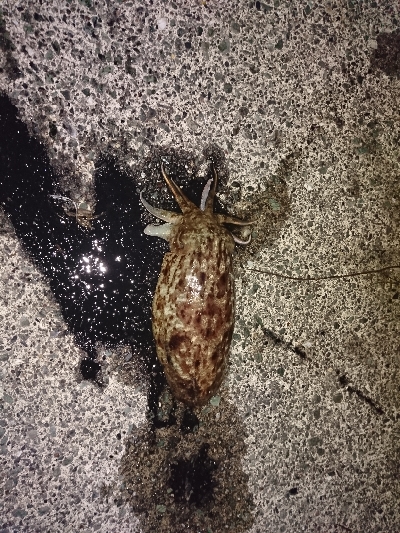 久しぶりにメンバー揃って(^^)