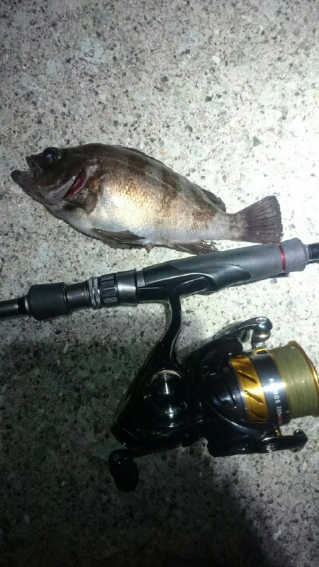 ボラボラボラ。