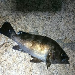 粘ってなんぼ。