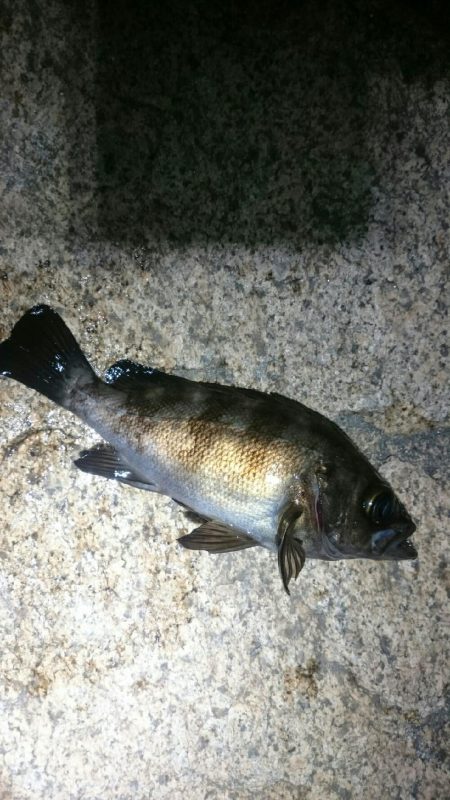 粘ってなんぼ。