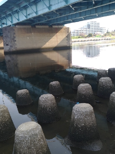 多摩川テナガエビ調査釣行