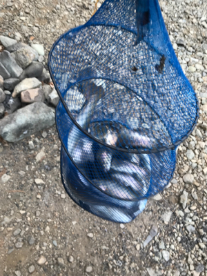 リヴァースポット早戸