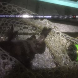 ハプニングにめげず