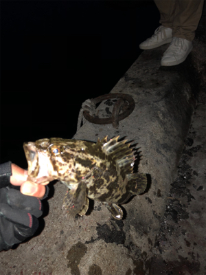 ライトゲーム良き！