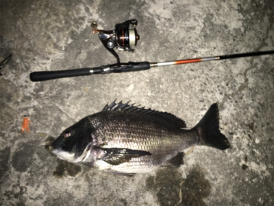 雨風が強くなる前に！