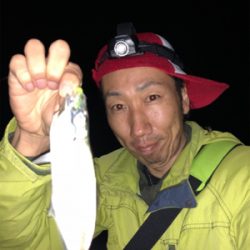 アジを求めて〜初淡路島アジング釣行♪