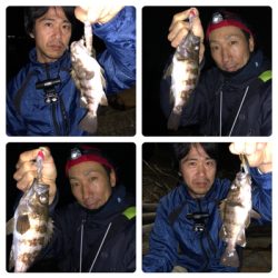 ナイトプラッキングゲーム♪GUNNING-STYLE