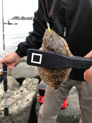 メバリングのはずが、、、