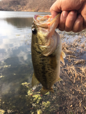 上田市にある須川湖