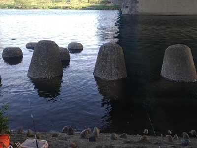 多摩川テナガエビ調査釣行2