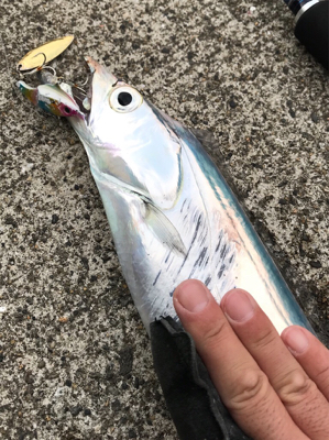 まさかのドラゴン！