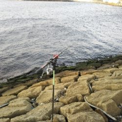 爆風の中、初釣果