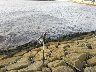 爆風の中、初釣果