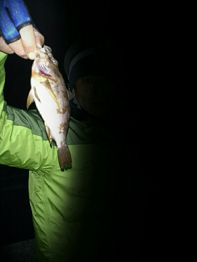 メバルマスター230