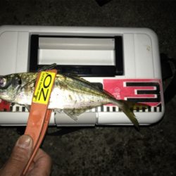 久しぶりにニコニコ！