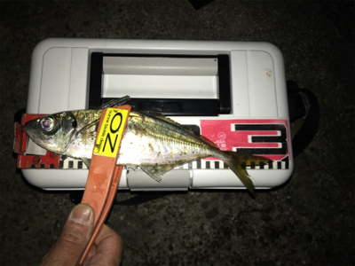 久しぶりにニコニコ！