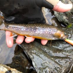 午後のひととき