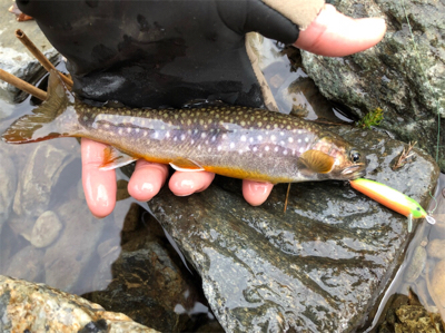 午後のひととき