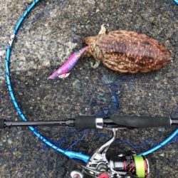 爆風の中で頑張りました！