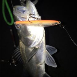 連日連夜絶好調！