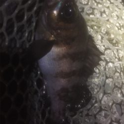 2打数1安打やけど幸せ