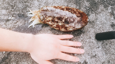 コウイカチャレンジ☺️