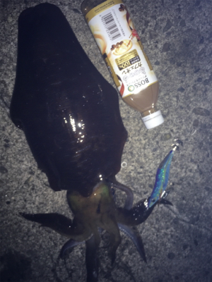 時合いにぱたぱた