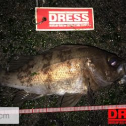 プラグ中心にキャスト