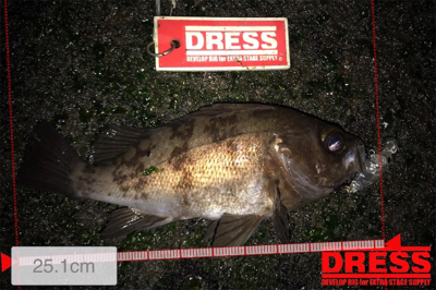 プラグ中心にキャスト