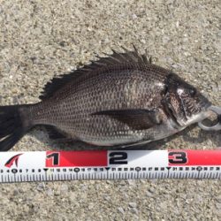 雨上がりの昼下がり