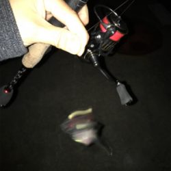 いまはココがアツイ！(釣行 其の拾七)