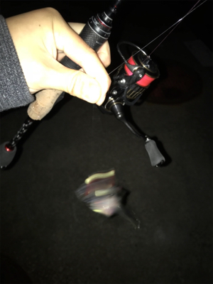 いまはココがアツイ！(釣行 其の拾七)