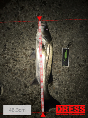 今シーズン1本目‼️