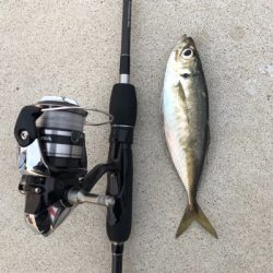 福良ライトゲーム