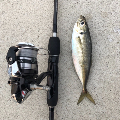 福良ライトゲーム