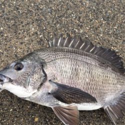 雨が降るなか釣りに行きました