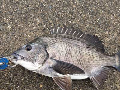 雨が降るなか釣りに行きました
