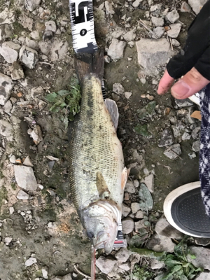 ほぼ無風でも巻物