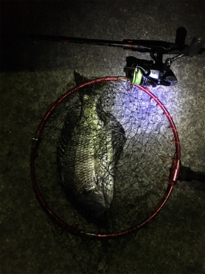 サクッとチニング