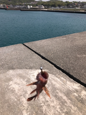 久しぶりの釣行！