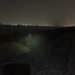 淀川ブリームゲーム ボラボラボラ