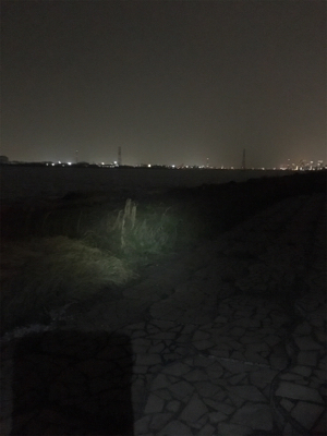 淀川ブリームゲーム ボラボラボラ