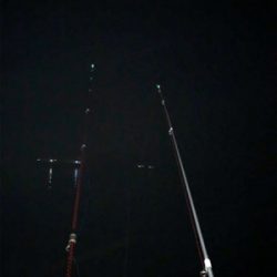 とっとぱーくパワー