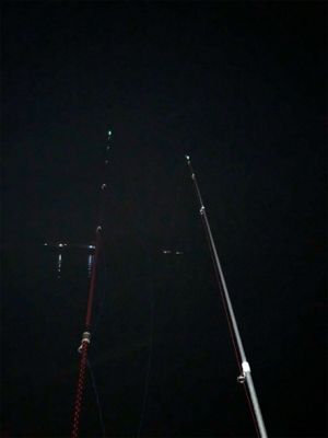 とっとぱーくパワー