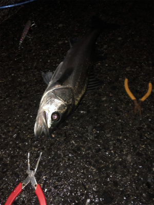 武庫川ちょうしよい？