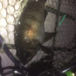 ワークメバリングバランス