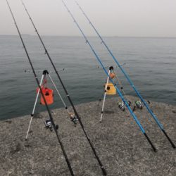 久々にちゃんと投げ釣り