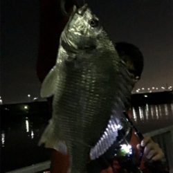 キビレは裏切らない