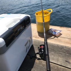 リベンジデカアジ